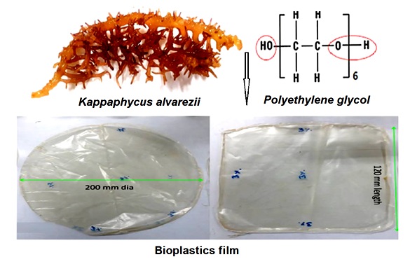 Development-of-biodegradable-plastic-from-marine-seaweed